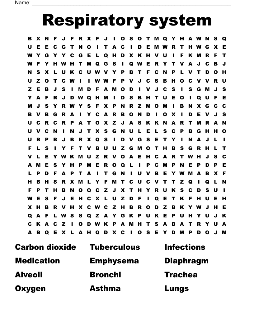 Respiratory system  Word Search