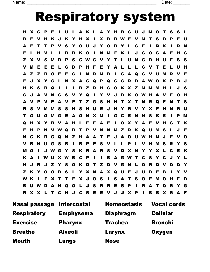 Respiratory system  Word Search