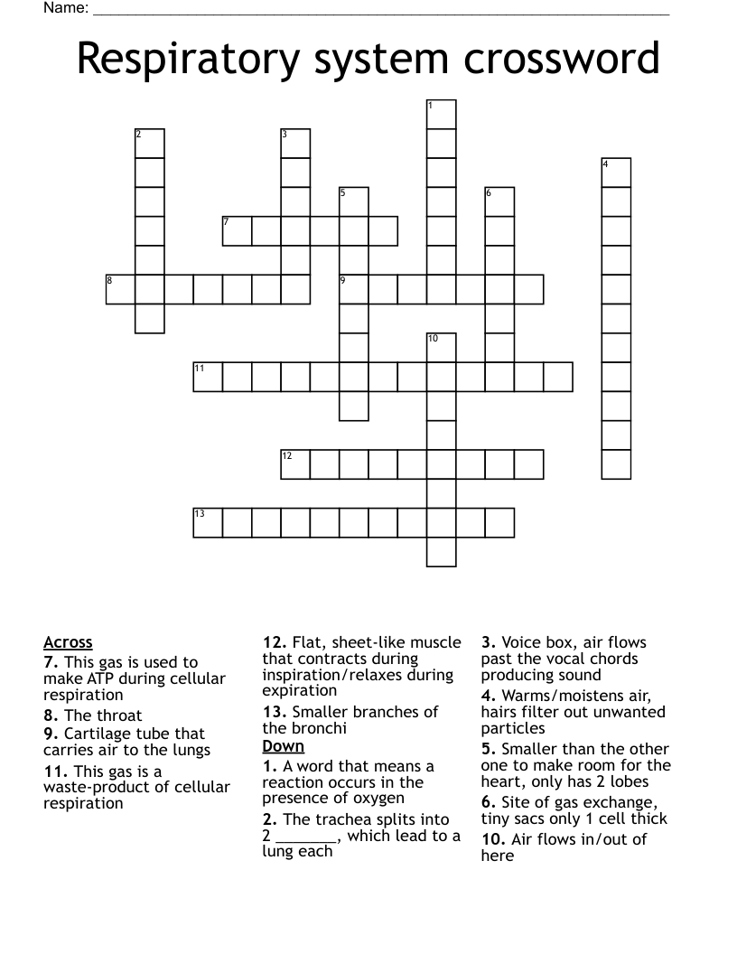 Respiratory system crossword