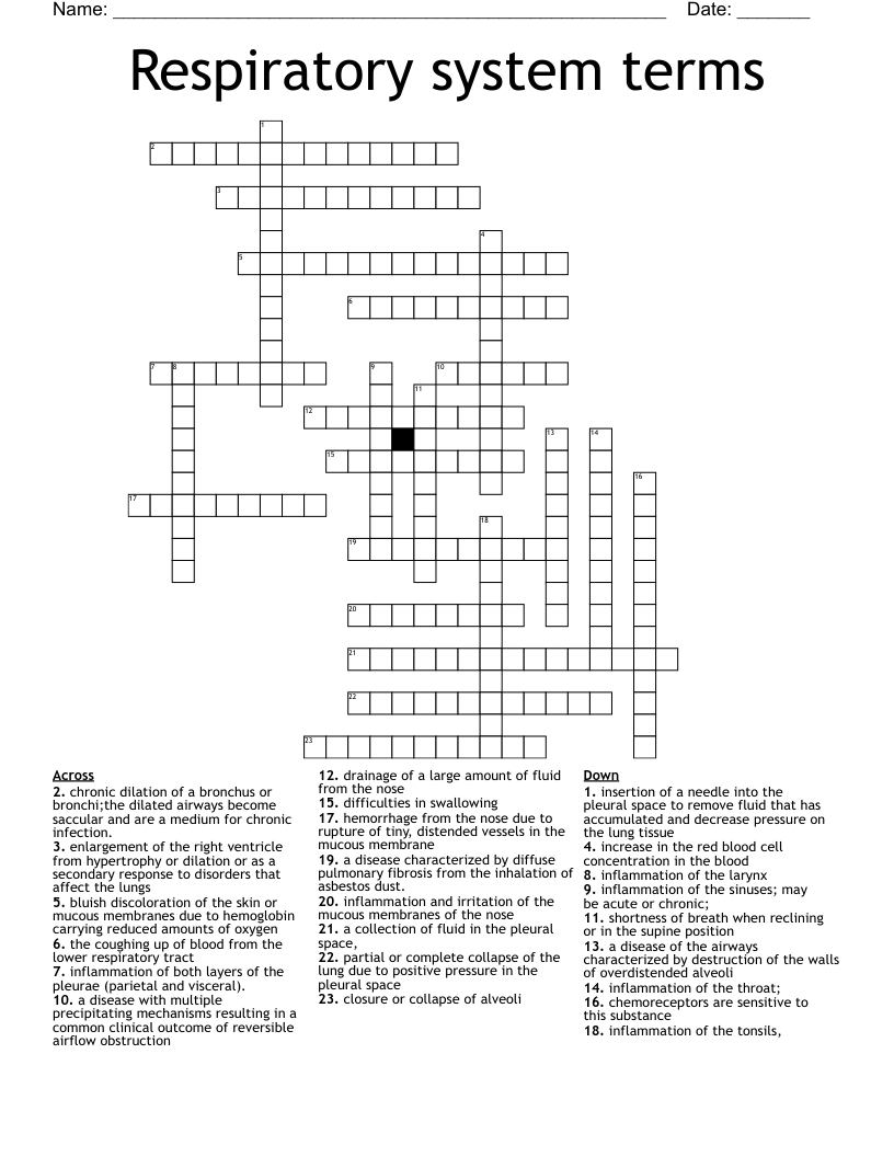 Respiratory system terms Crossword