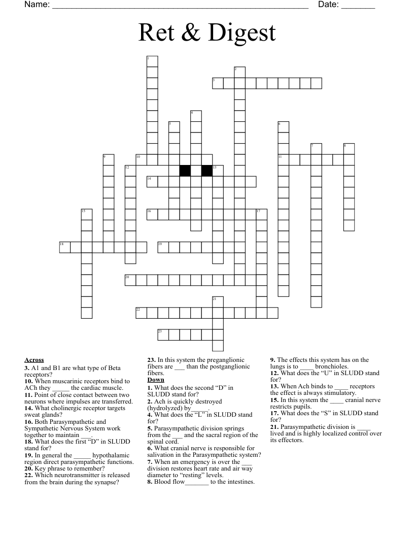 Ret & Digest Crossword