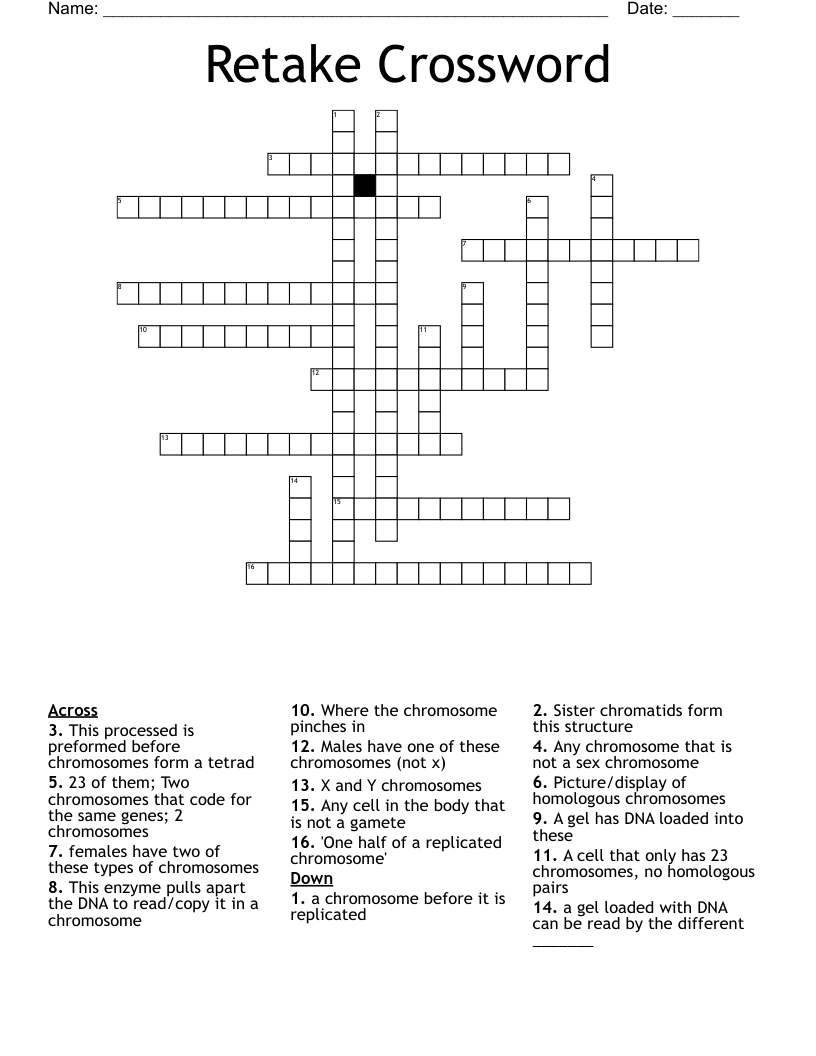 Retake Crossword