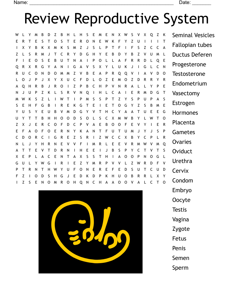 Review Reproductive System Word Search