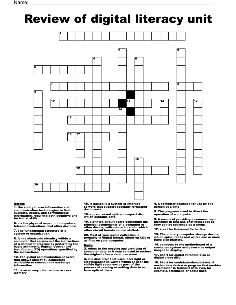 Review of digital literacy unit Crossword