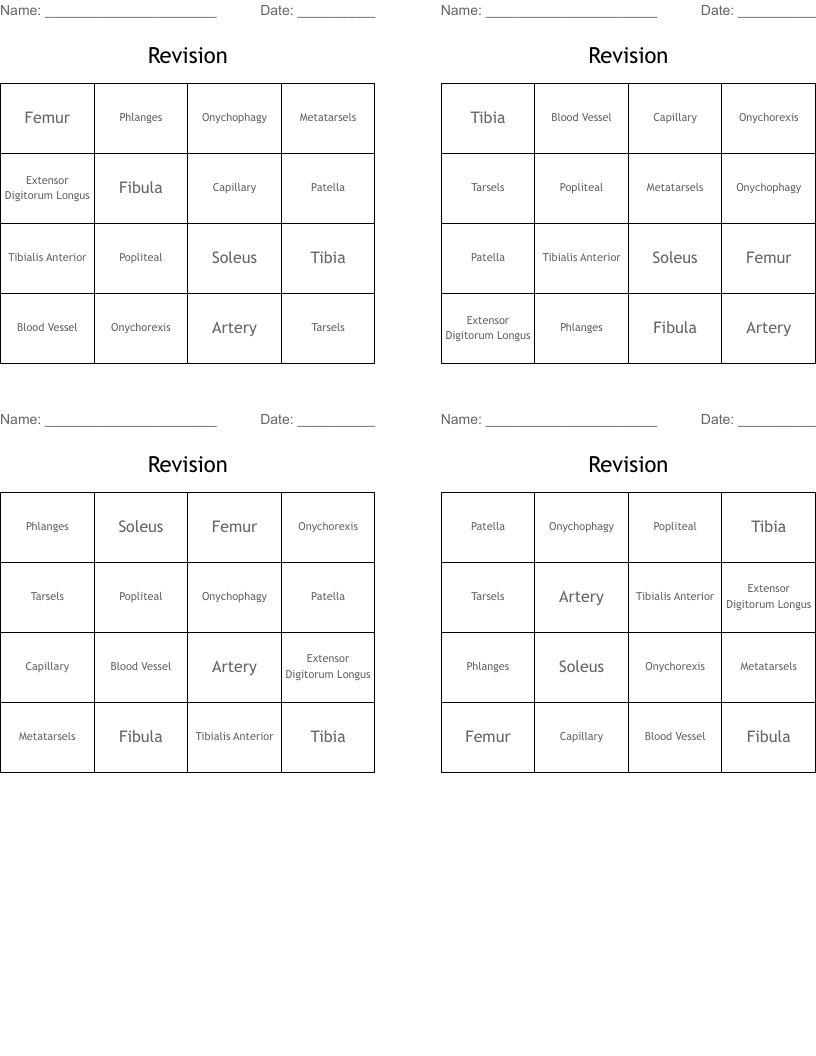 Revision Bingo Cards