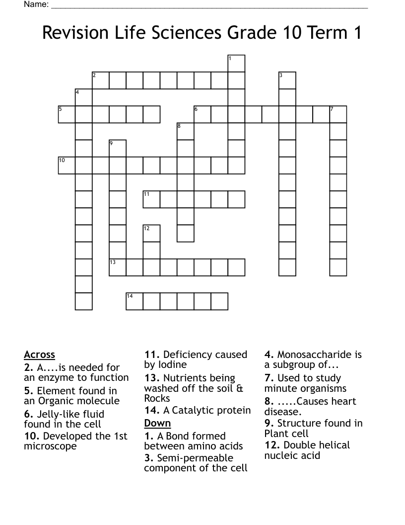 Revision Life Sciences Grade 10 Term 1 Crossword