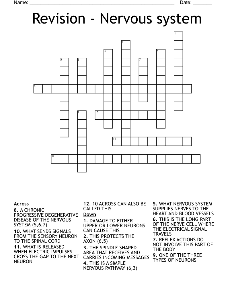 Revision - Nervous system Crossword