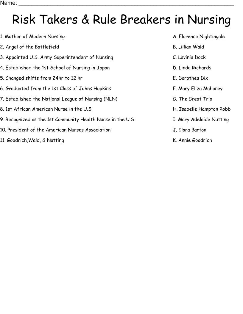 Risk Takers & Rule Breakers in Nursing Worksheet