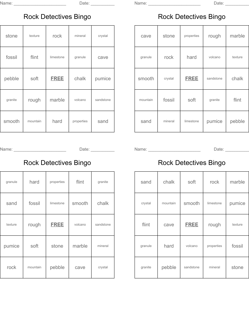 Rock Detectives Bingo