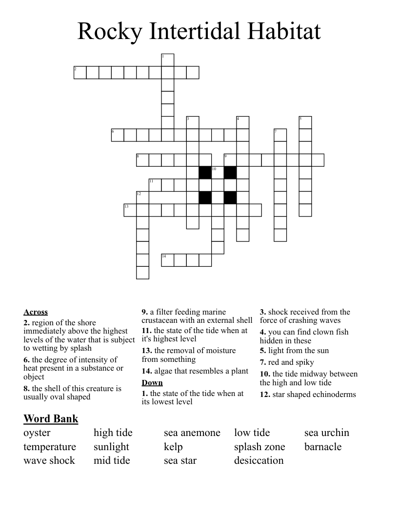 Rocky Intertidal Habitat Crossword