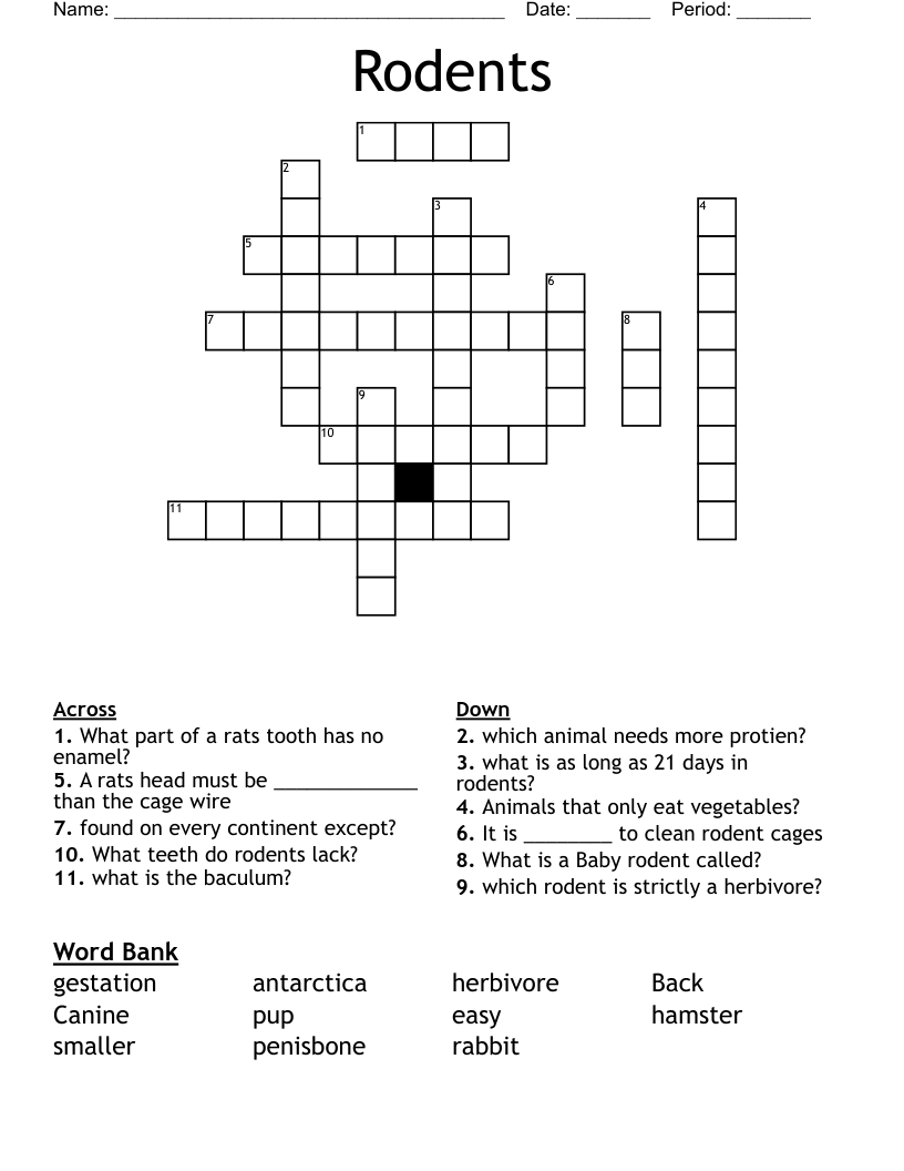 Rodents Crossword