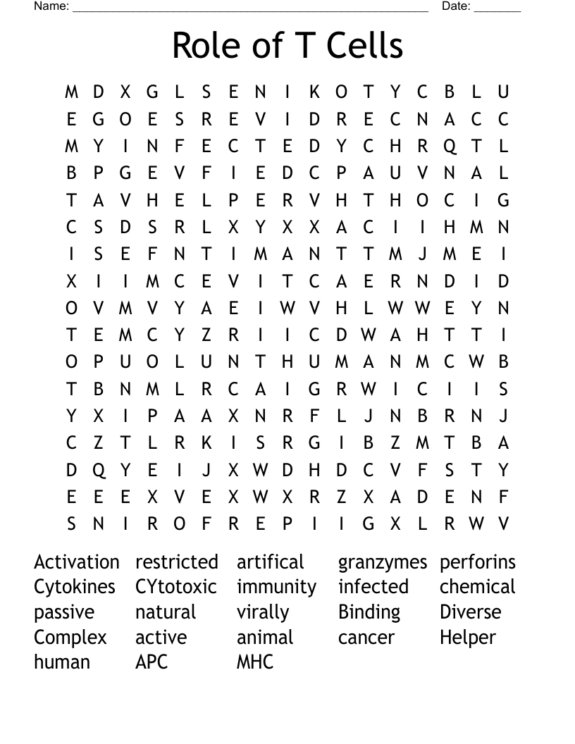 Role of T Cells Word Search