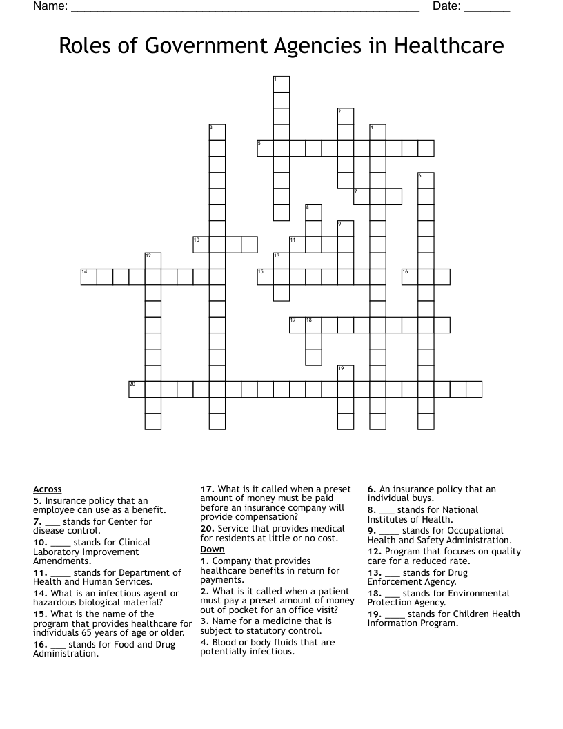 Roles of Government Agencies in Healthcare Crossword
