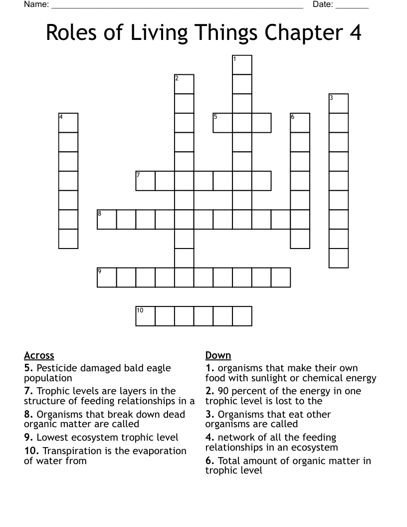 Roles of Living Things Chapter 4  Crossword
