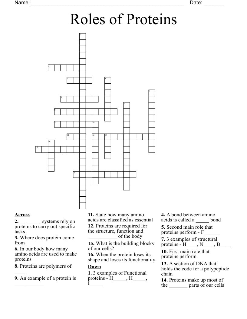 Roles of Proteins Crossword