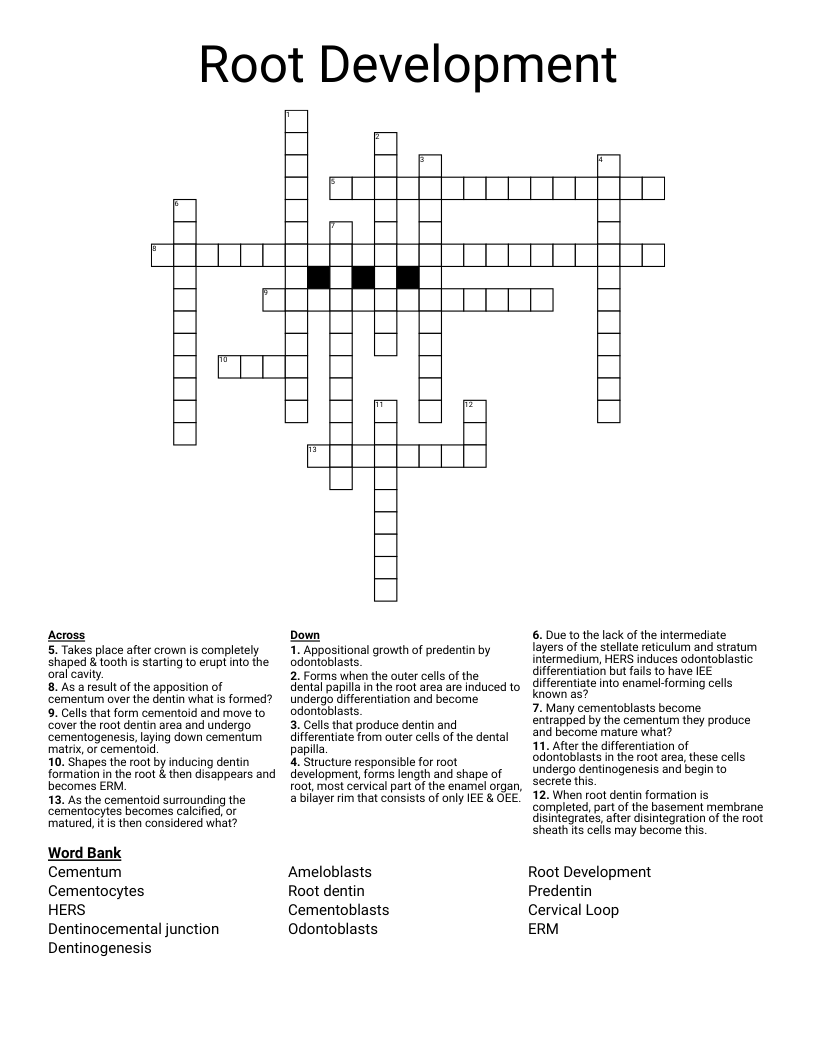 Root Development Crossword