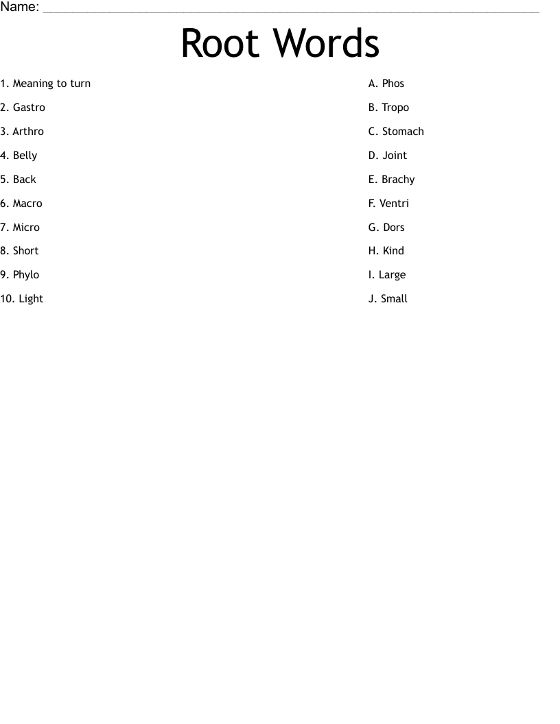 Root Words Worksheet