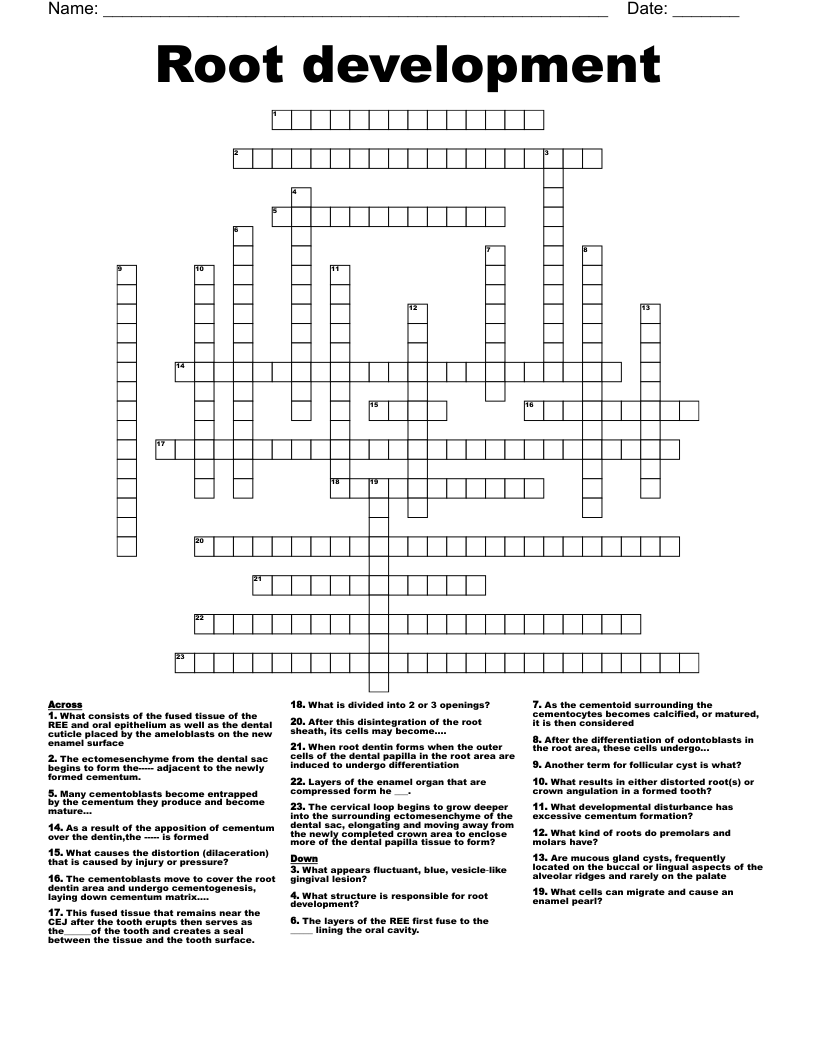 Root development Crossword