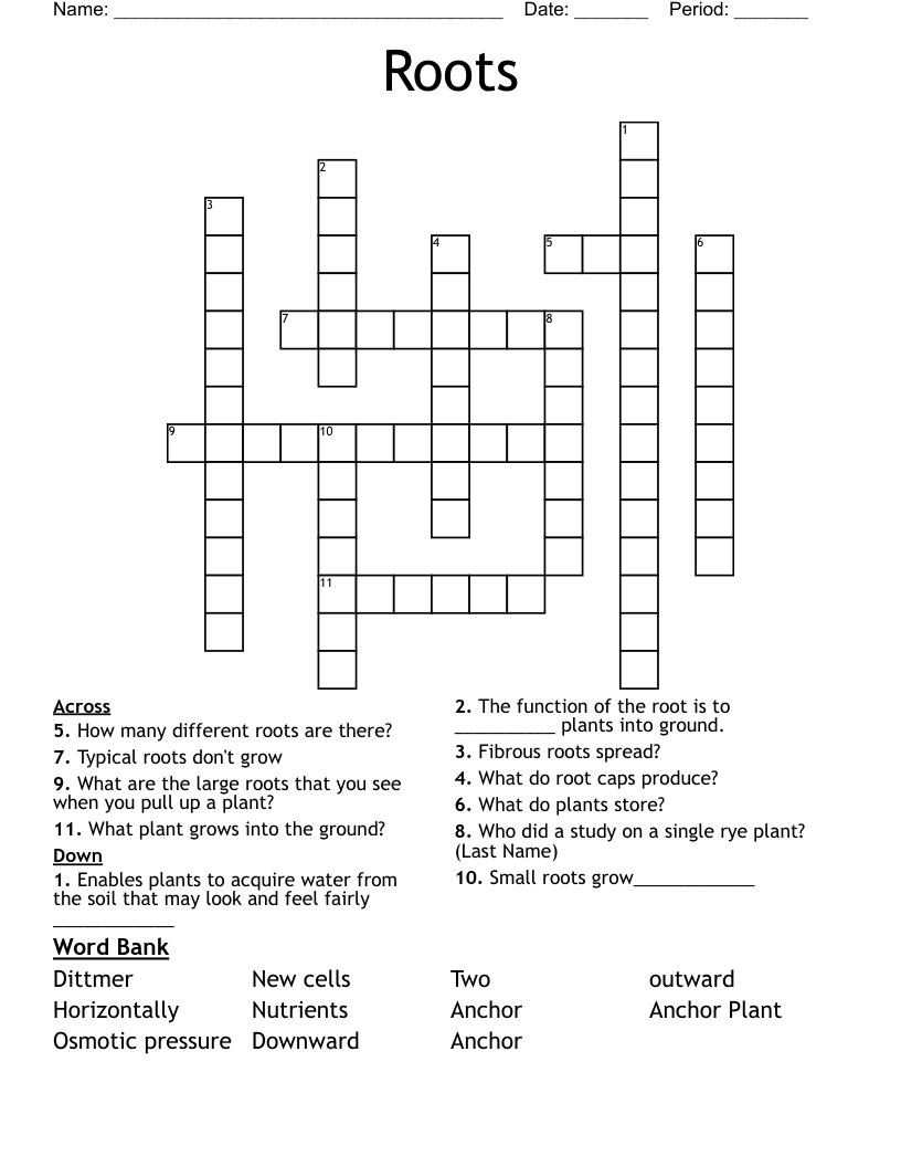 Roots Crossword