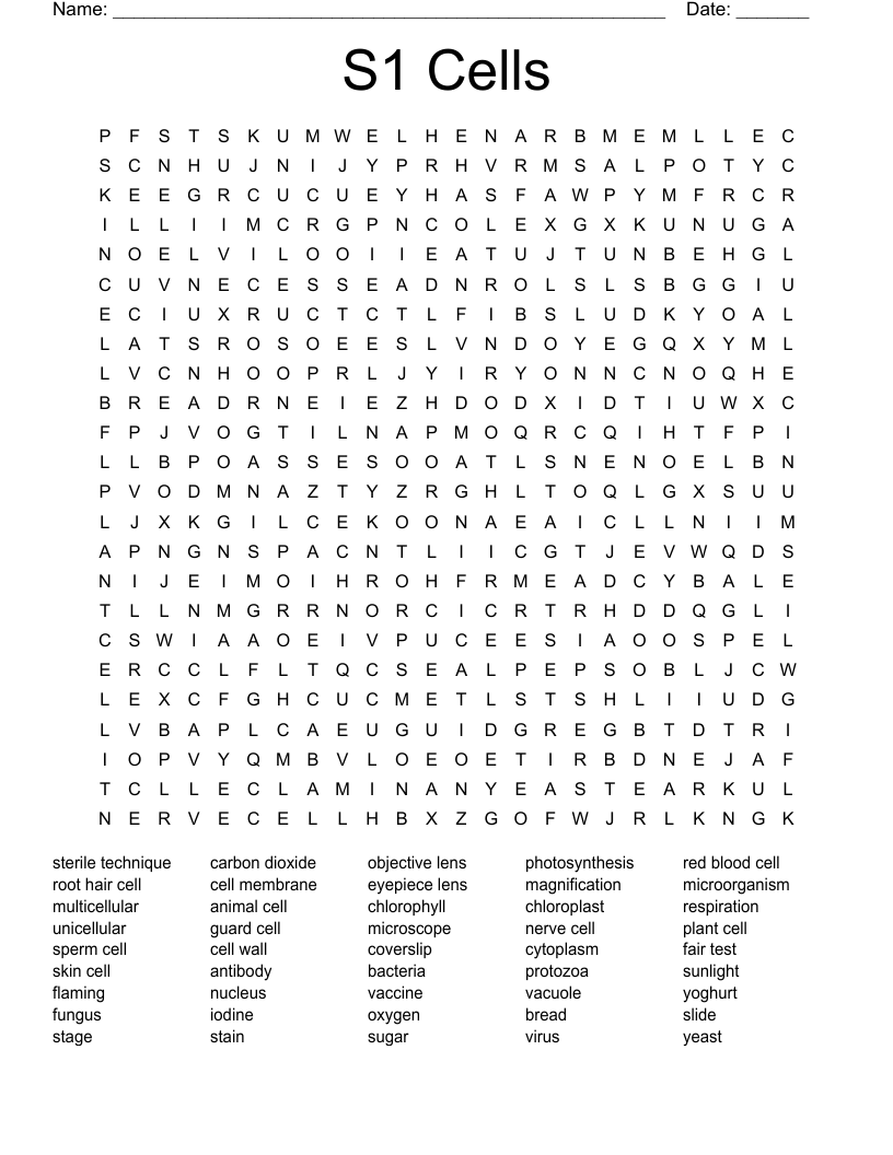 S1 Cells Word Search
