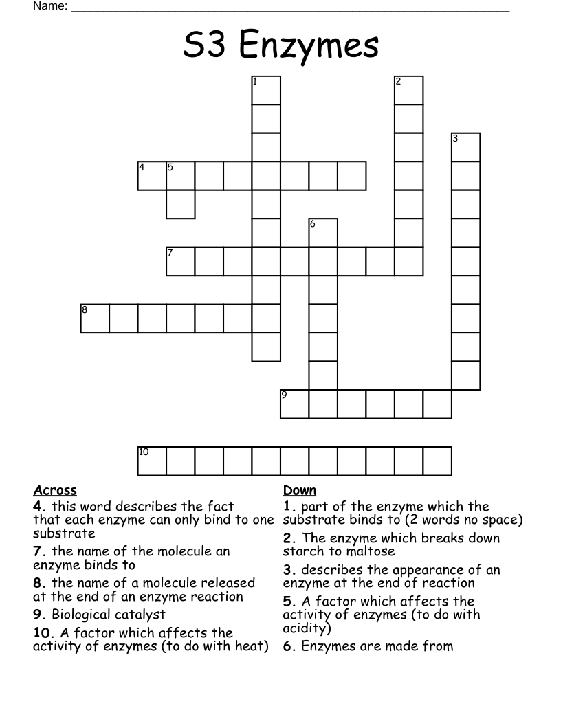 S3 Enzymes  Crossword