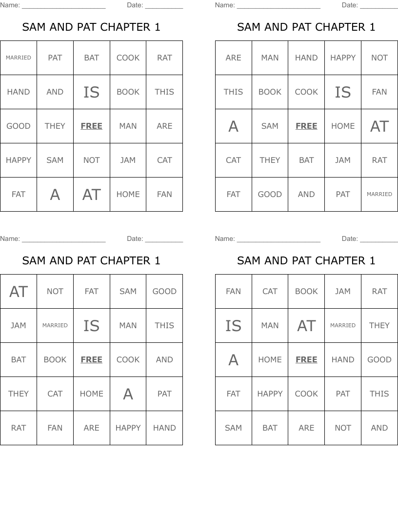 SAM AND PAT CHAPTER 1 Bingo Cards