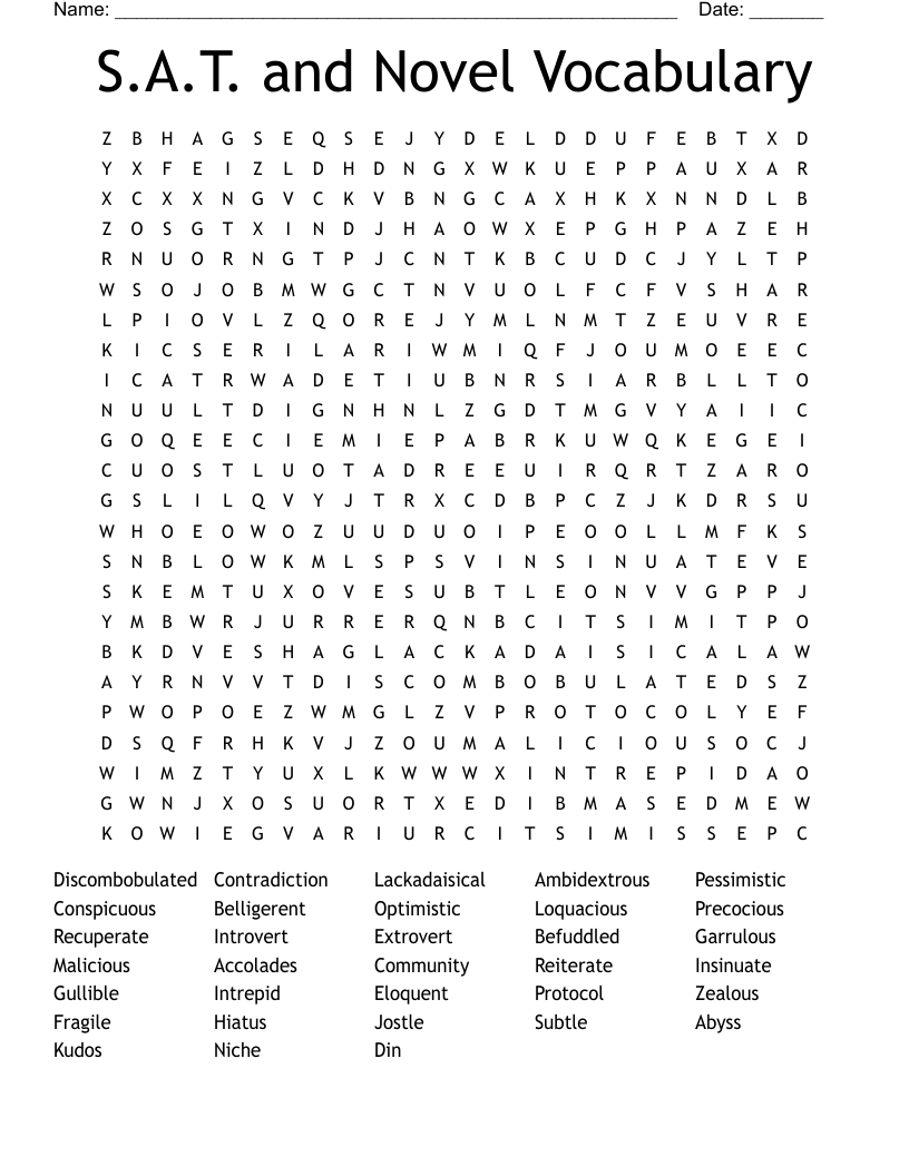 S.A.T. and Novel Vocabulary Word Search