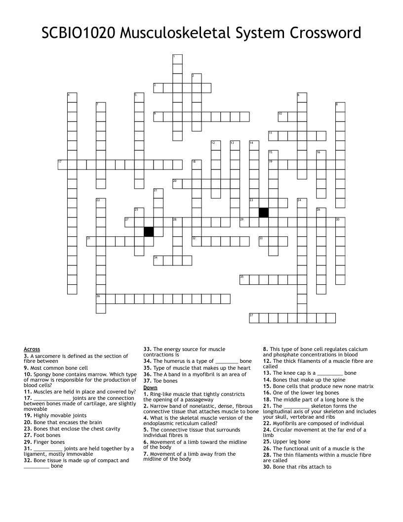 SCBIO1020 Musculoskeletal System Crossword