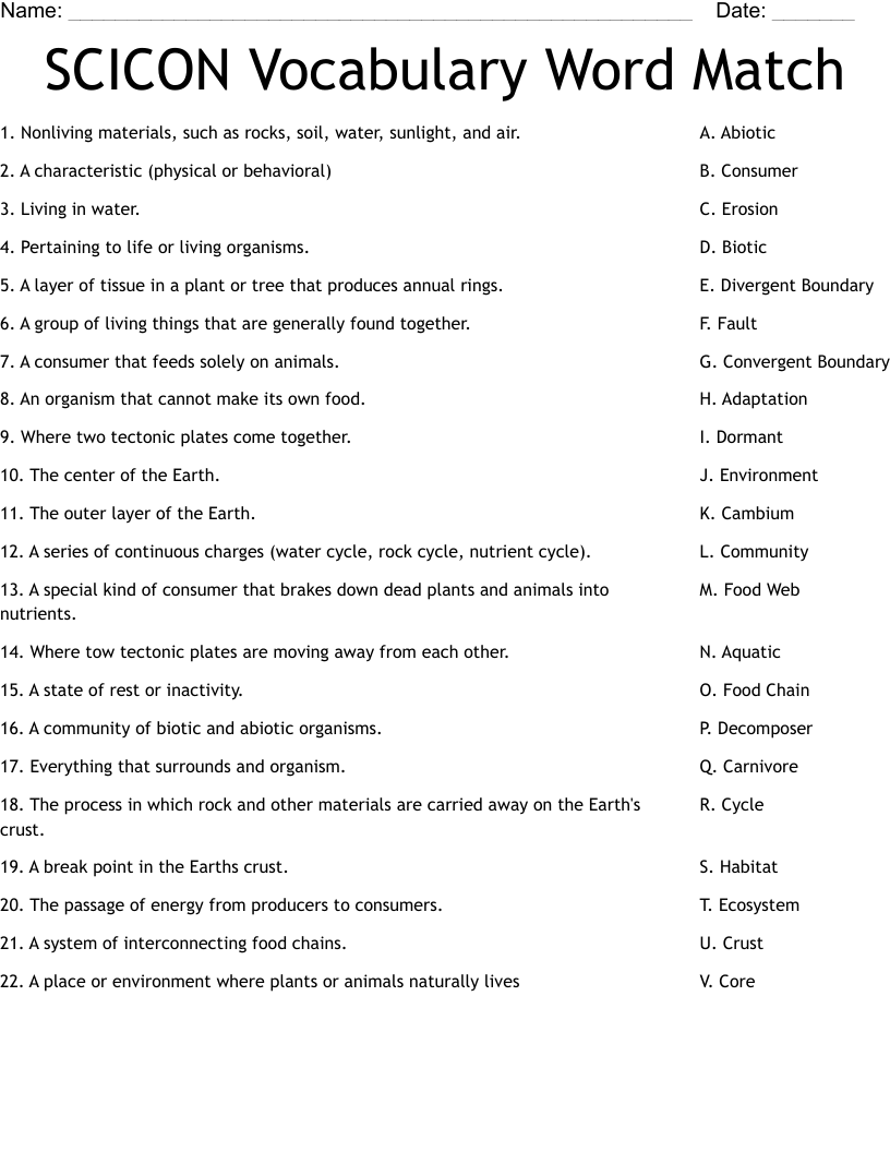 SCICON Vocabulary Word Match Worksheet
