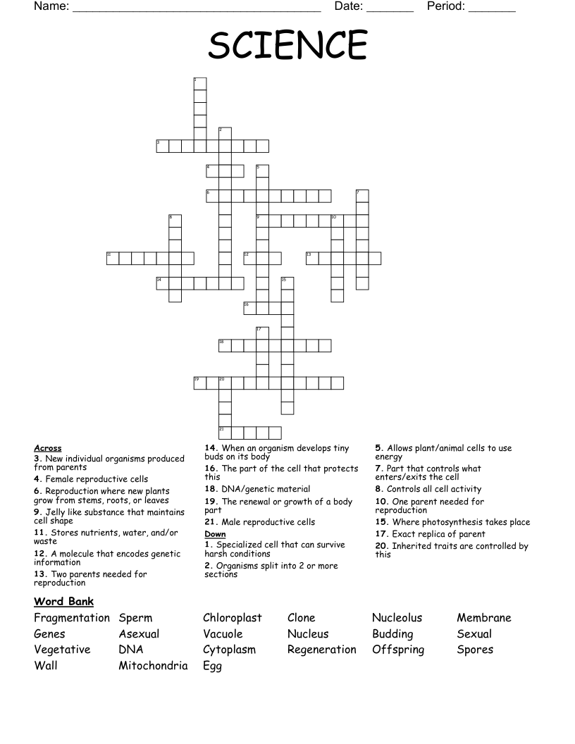 SCIENCE Crossword