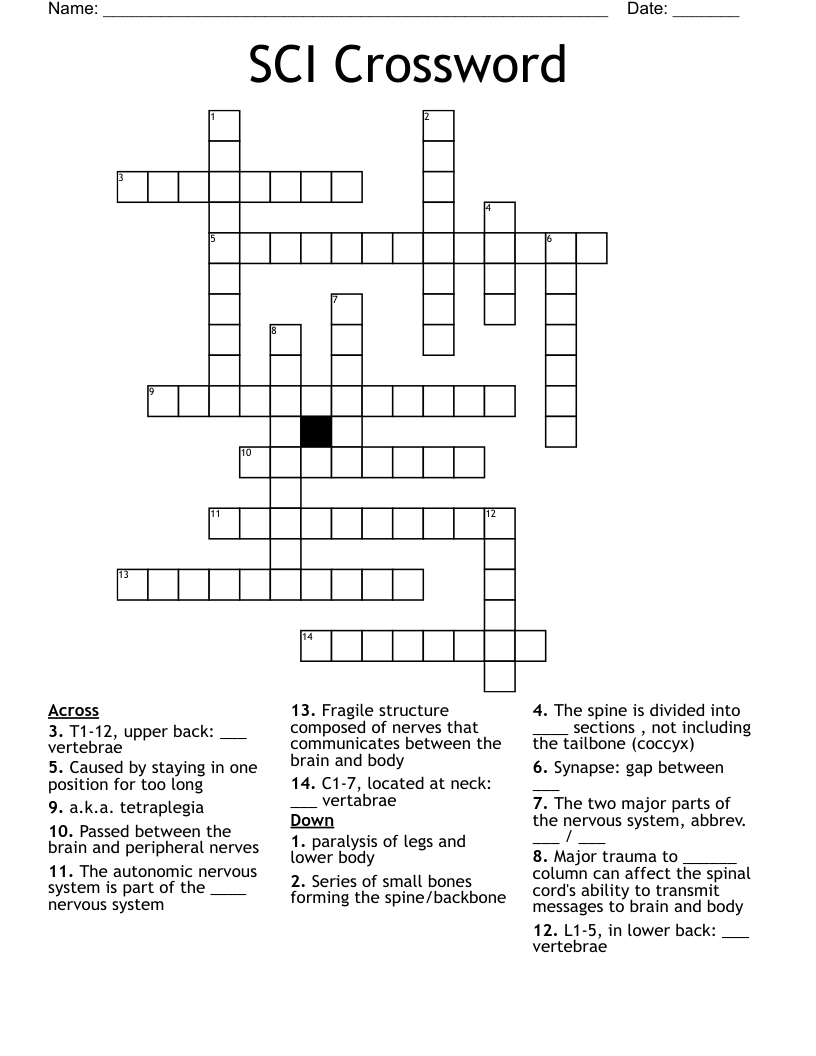 SCI Crossword