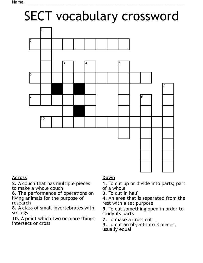 SECT vocabulary crossword