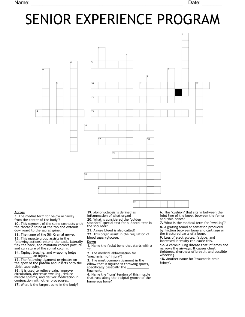 SENIOR EXPERIENCE PROGRAM Crossword