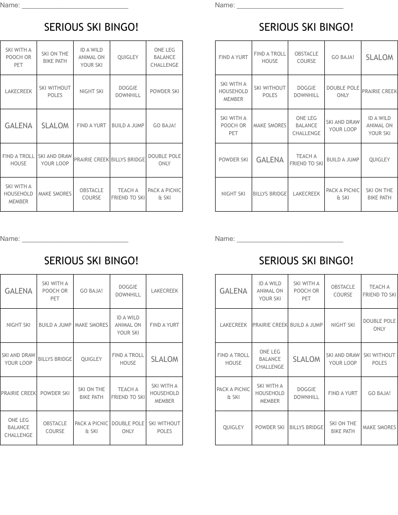 SERIOUS SKI BINGO!