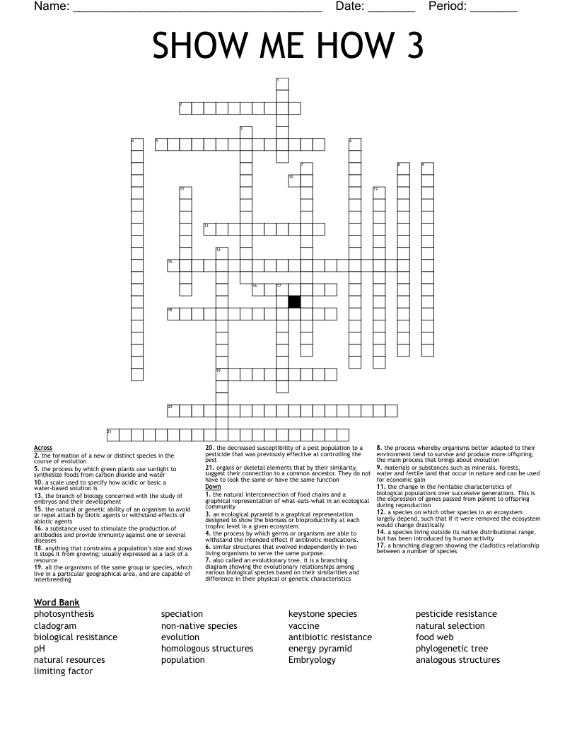 SHOW ME HOW 3 Crossword