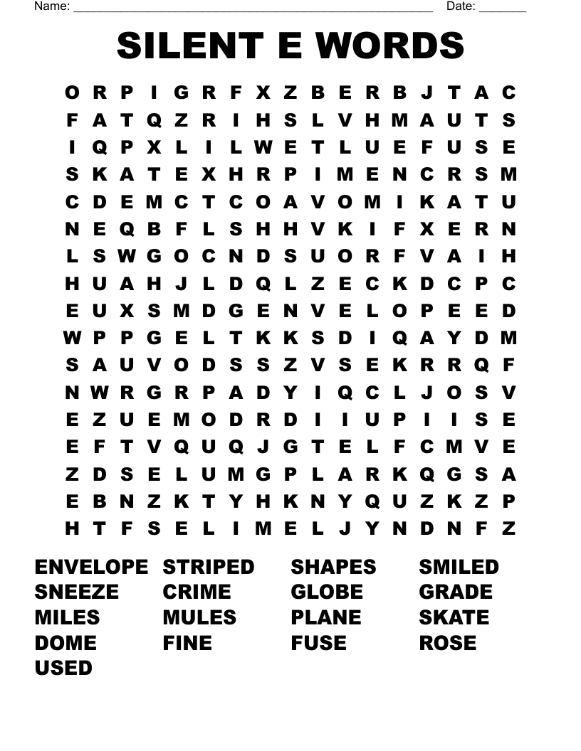 SILENT E WORDS Word Search