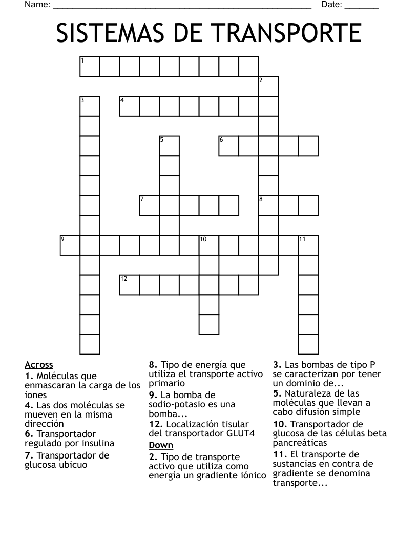SISTEMAS DE TRANSPORTE Crossword