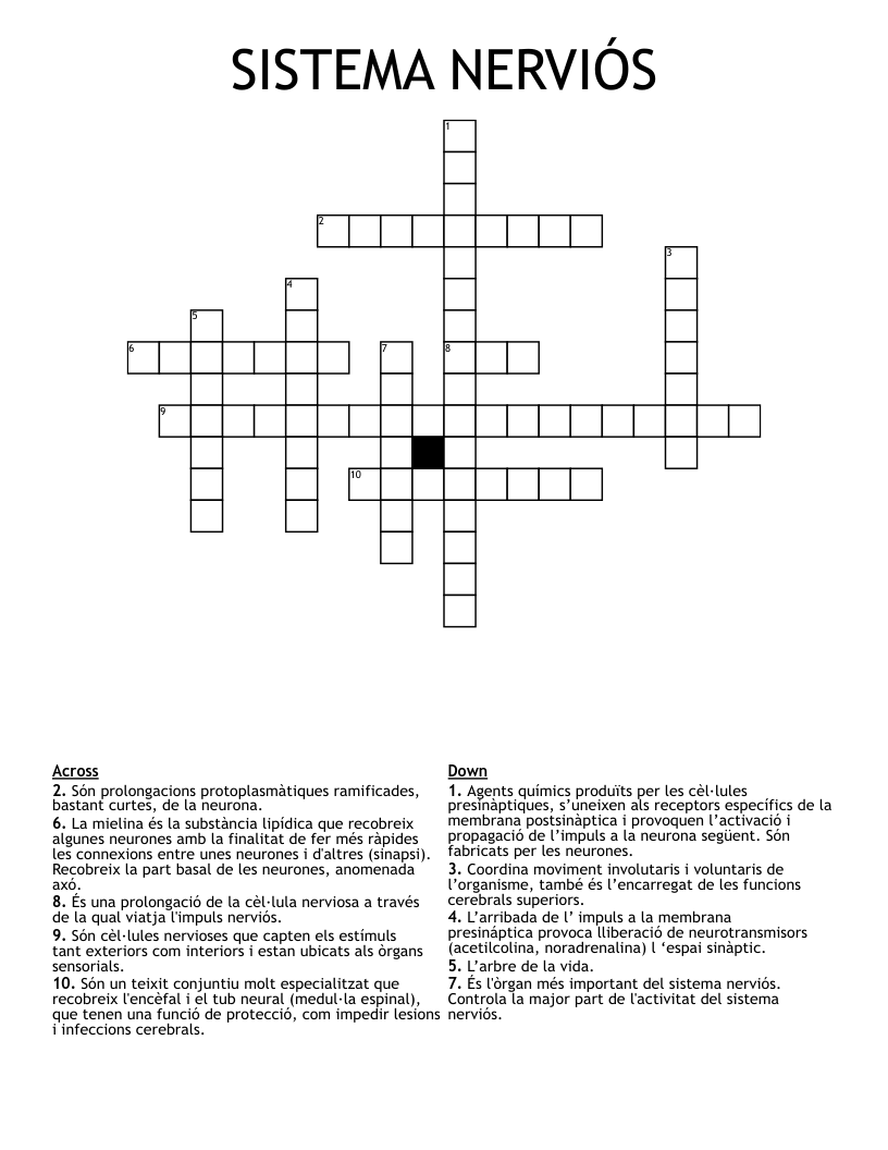 SISTEMA NERVIÓS Crossword