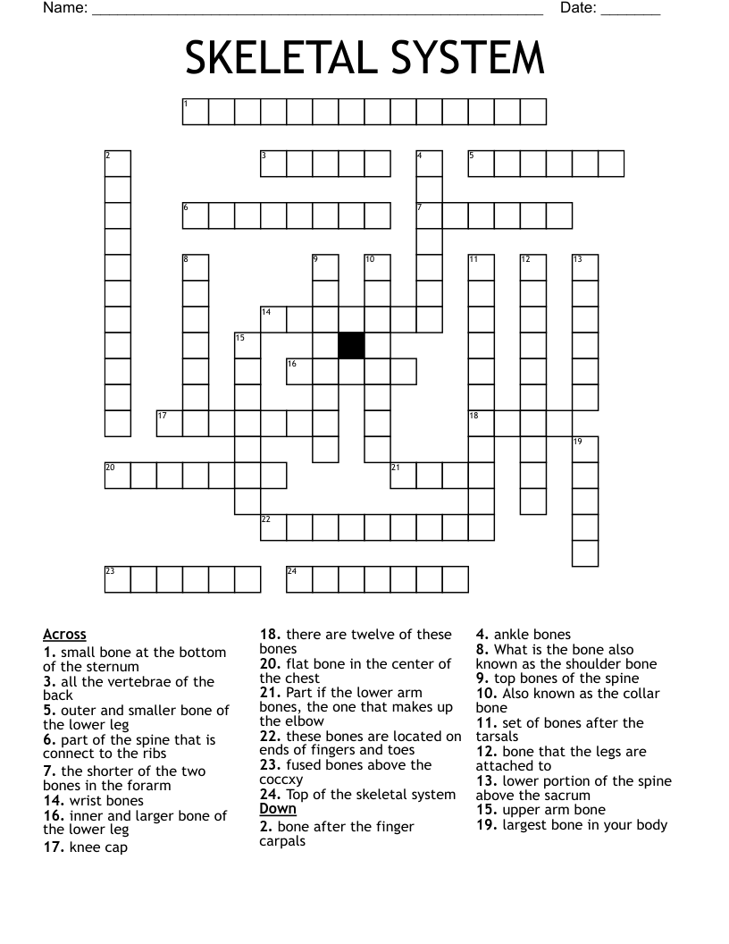 SKELETAL SYSTEM Crossword