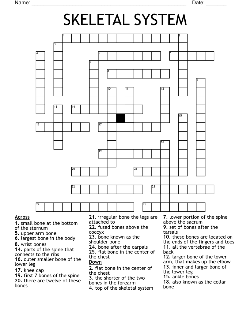 SKELETAL SYSTEM Crossword