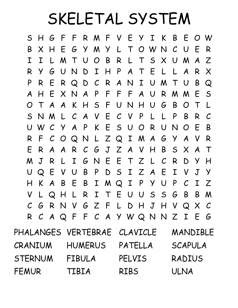 SKELETAL SYSTEM Word Search