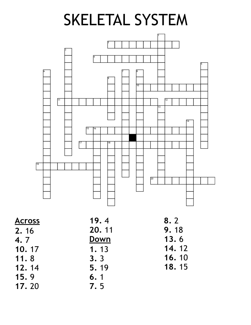 SKELETAL SYSTEM Crossword