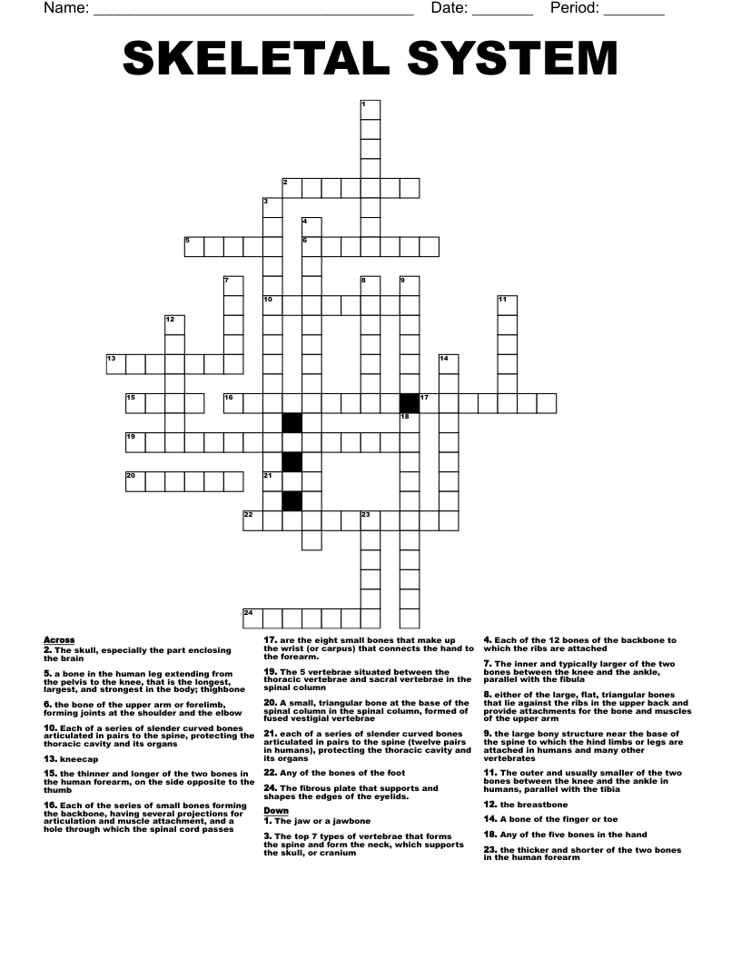 SKELETAL SYSTEM  Crossword