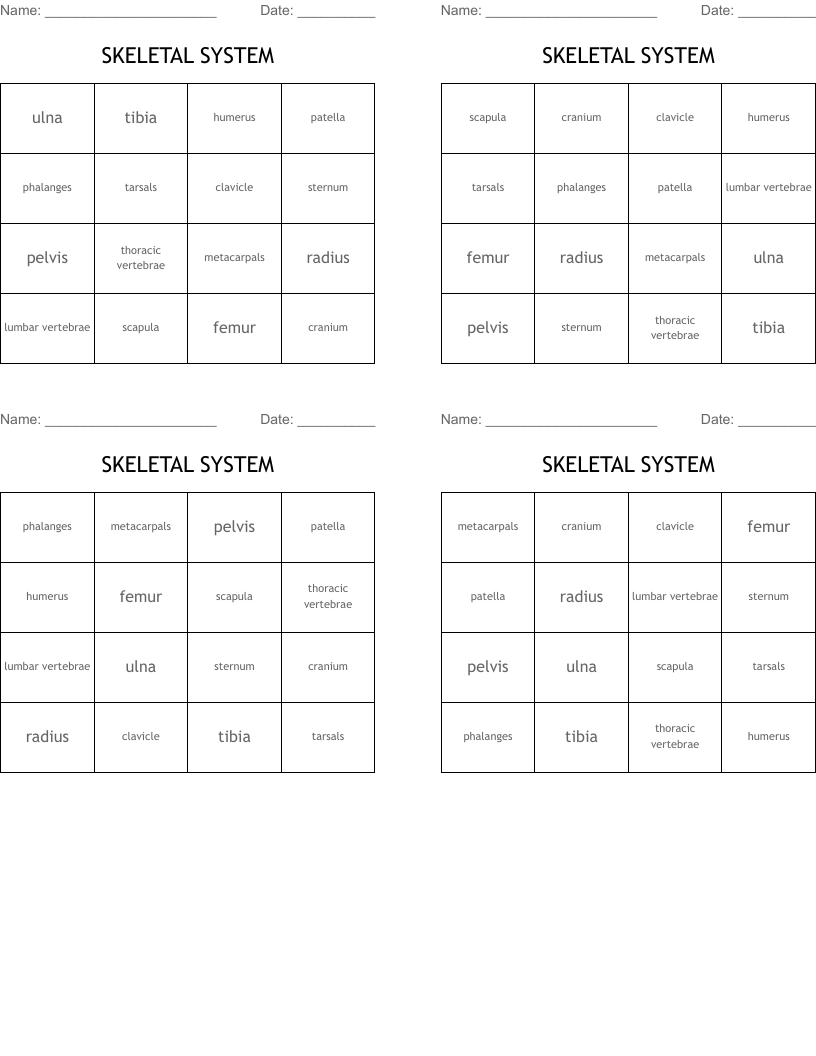 SKELETAL SYSTEM  Bingo Cards