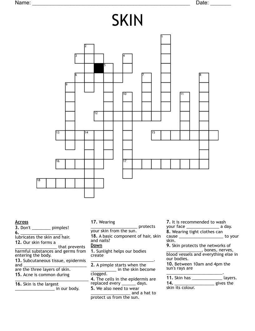 SKIN Crossword