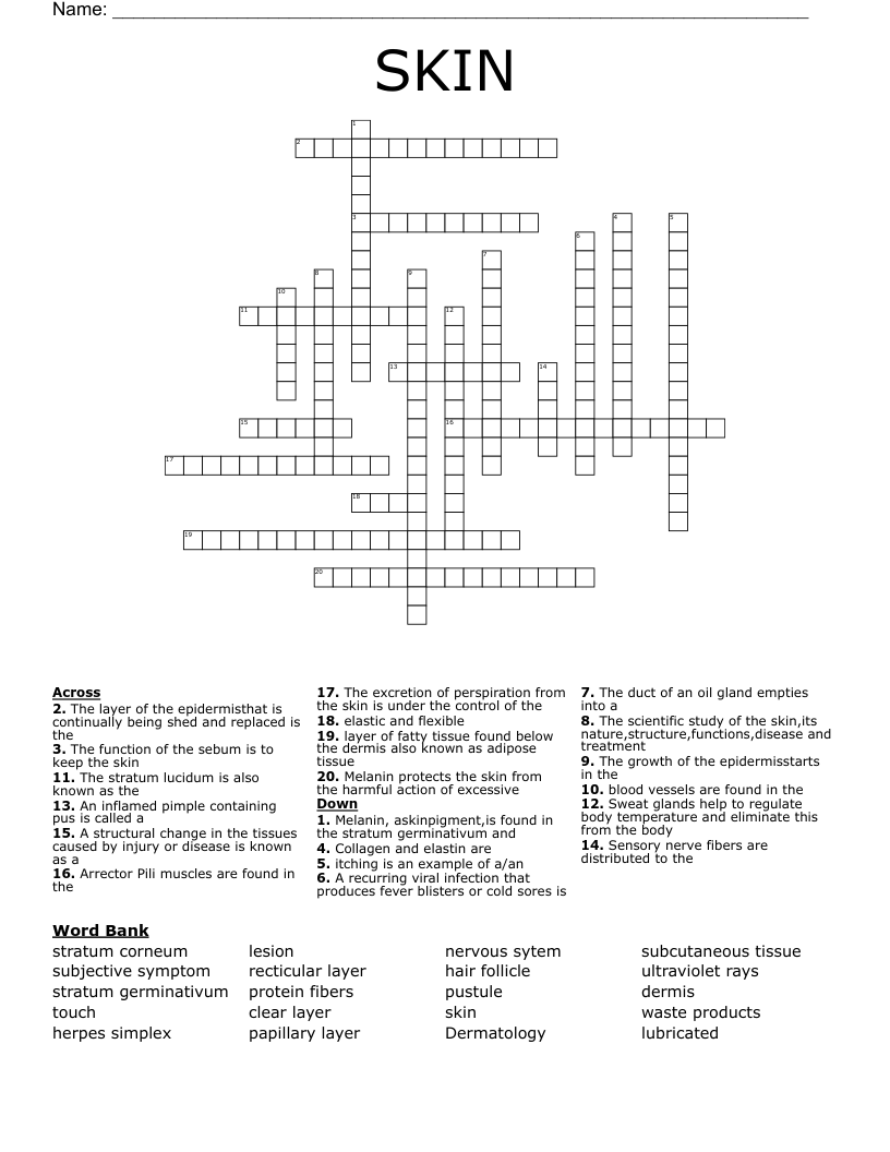 SKIN Crossword