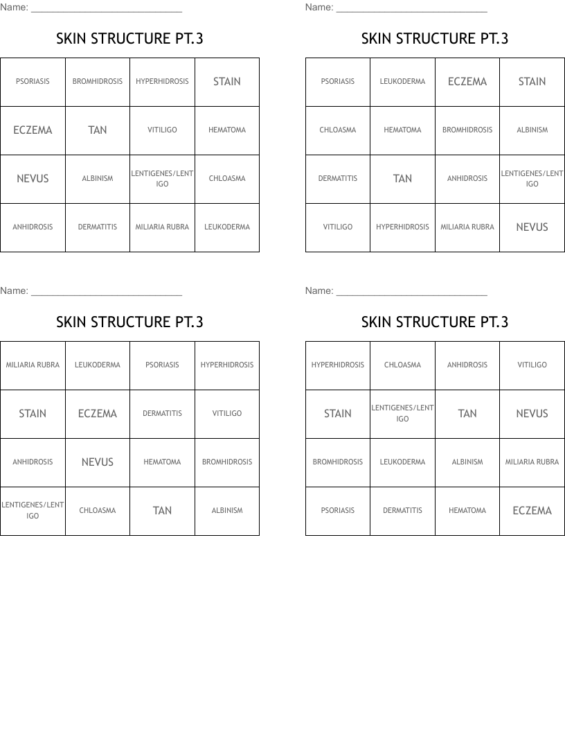SKIN STRUCTURE PT.3 Bingo Cards