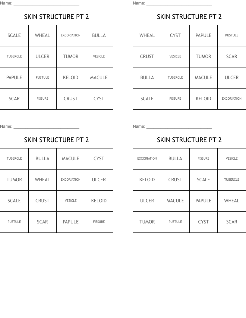 SKIN STRUCTURE PT 2 Bingo Cards