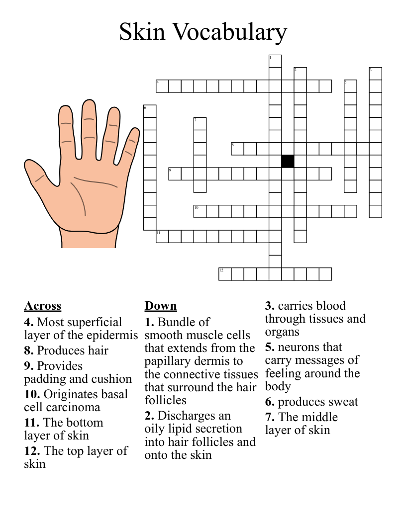 Skin Vocabulary Crossword