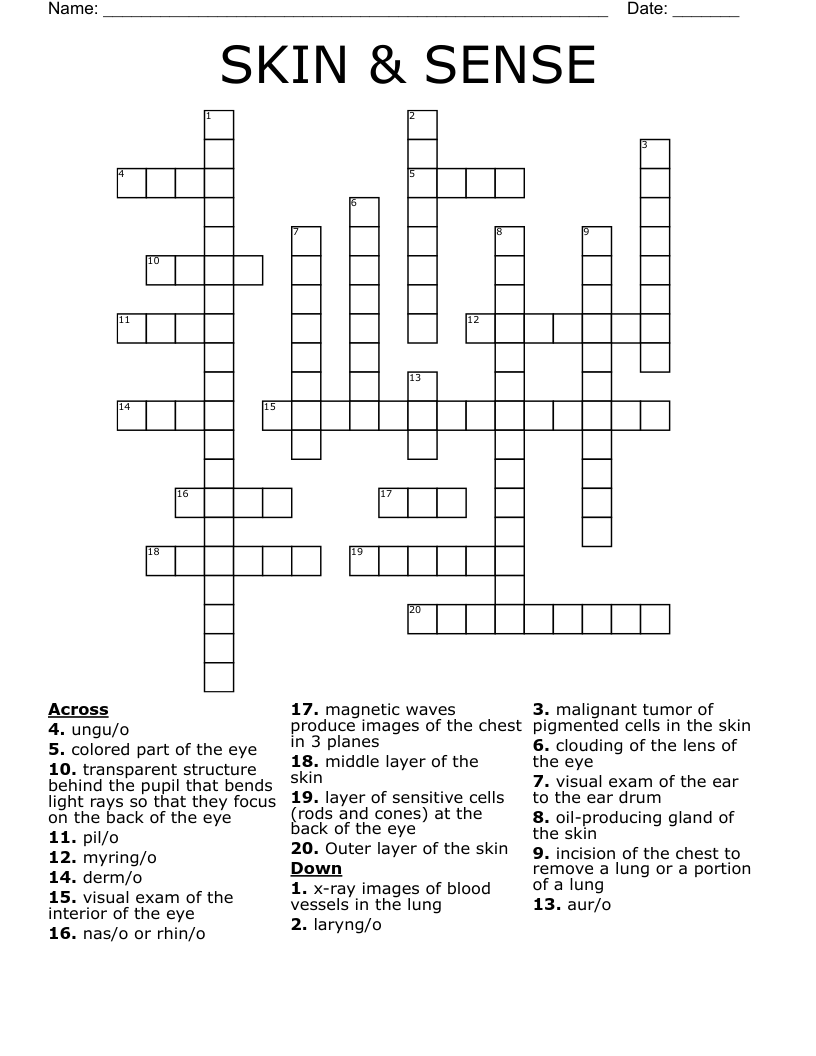 SKIN & SENSE  Crossword